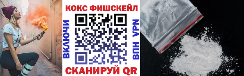 магазин продажи наркотиков  Болхов  Cocaine 99% 