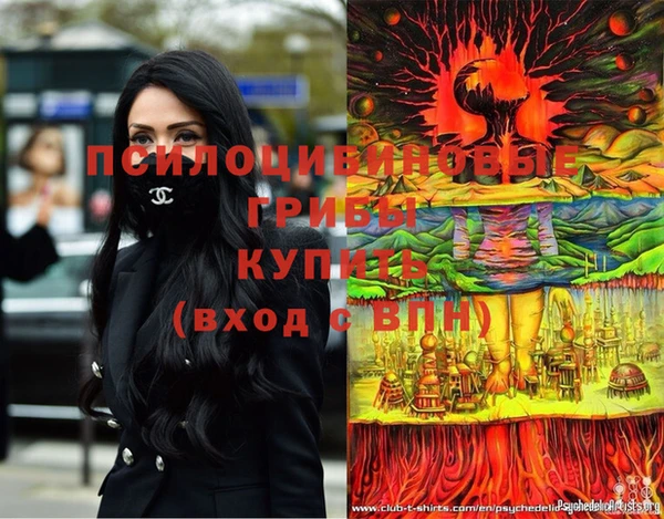 соль ск Абаза