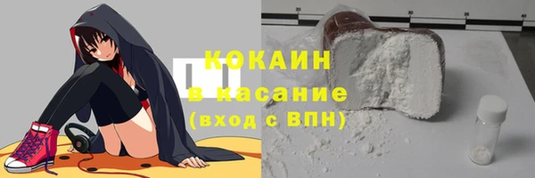 соль ск Абаза