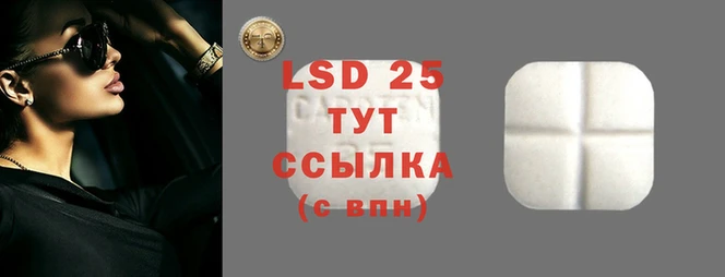 СК Алзамай